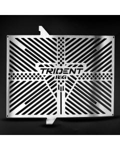 Branded Radiator Guard  stainless -Trident (660) '21-